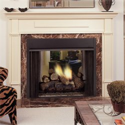 Designer Lo-Rider See-Thru Vent Free Firebox with Herringbone Liner - Monessen