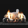 30" Birch Ceramic Logs, 30" Slope Glaze Vent Free Burner (Millivolt/Pilot) - Empire Comfort Systems